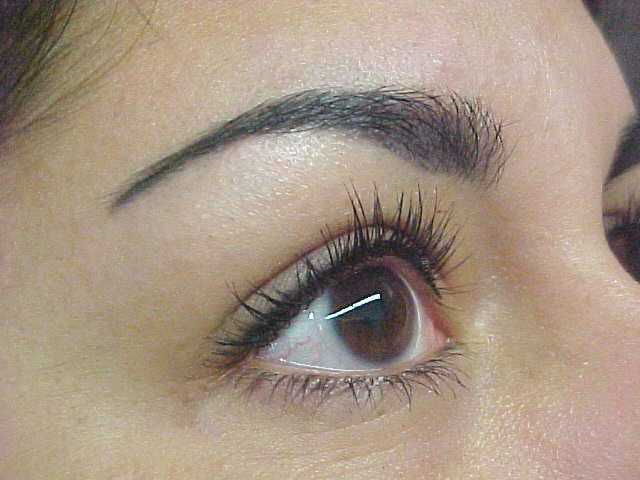 Picture Of Permanent Makeup Eyebrow Procedure